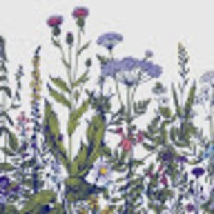 Meet your Posher, Bella